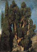 Cypresses in the Park at the Villa d-Este